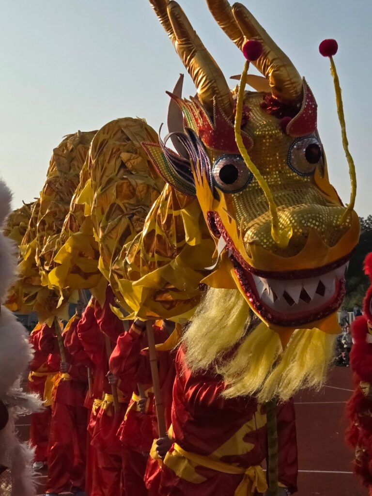 Happy Chinese New Year! 🐎 chinesischer drache