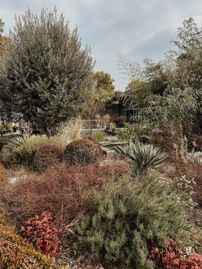 Von seltenen Schneeflöckchen ❄️, Kindergartenabenteuern und dem Leben außerhalb der Möbelhäuser park view