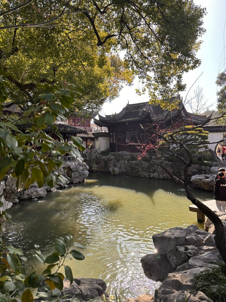 The Hai: Unsere Entdeckungstour durch Shanghais vielfältige Welt🌍 🇨🇳 🦈 yuyuan garden