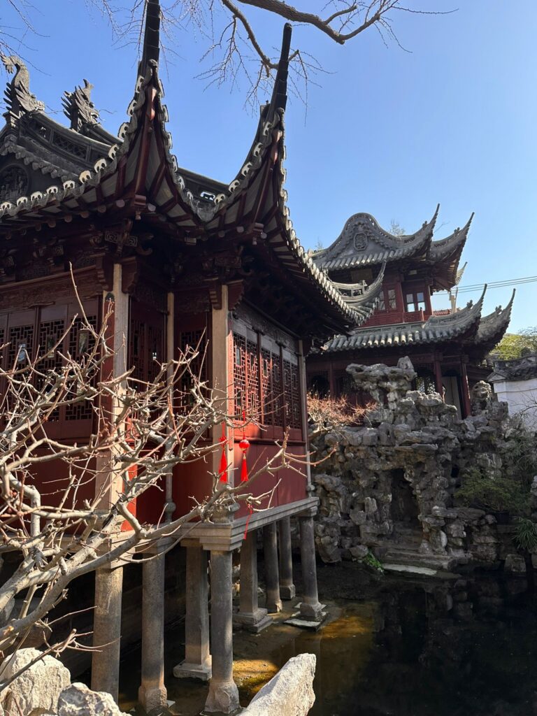 The Hai: Unsere Entdeckungstour durch Shanghais vielfältige Welt🌍 🇨🇳 🦈 yuyuan garden1