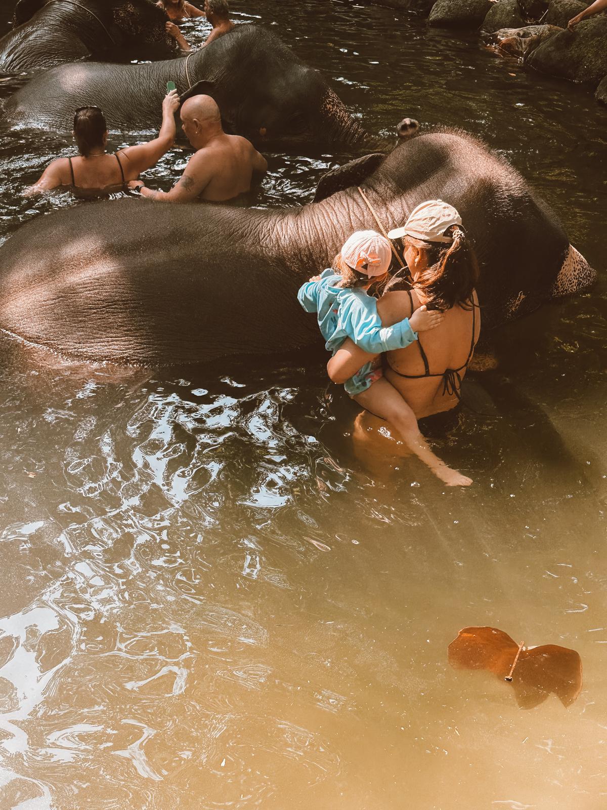 Thailand, Elefanten & ein bisschen Gutgläubigkeit – unser erster Asienurlaub 🫶 baden mit elefanten