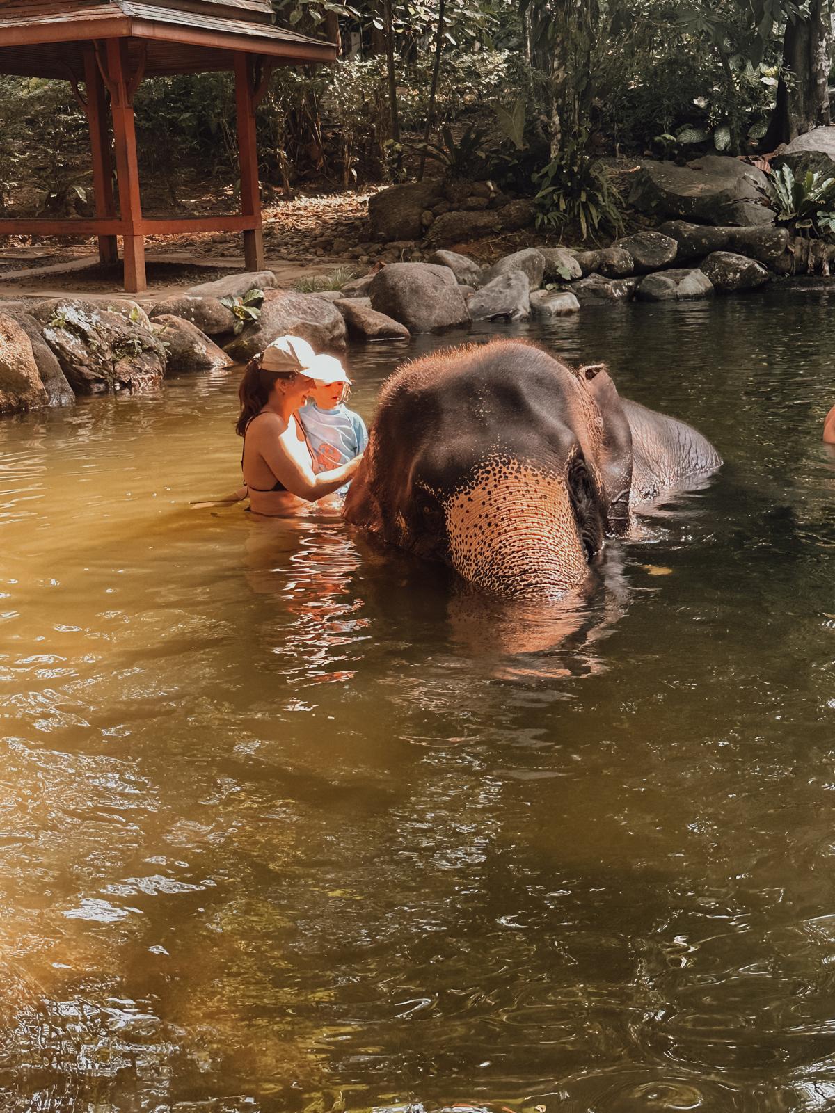 Thailand, Elefanten & ein bisschen Gutgläubigkeit – unser erster Asienurlaub 🫶 baden mit elefanten2