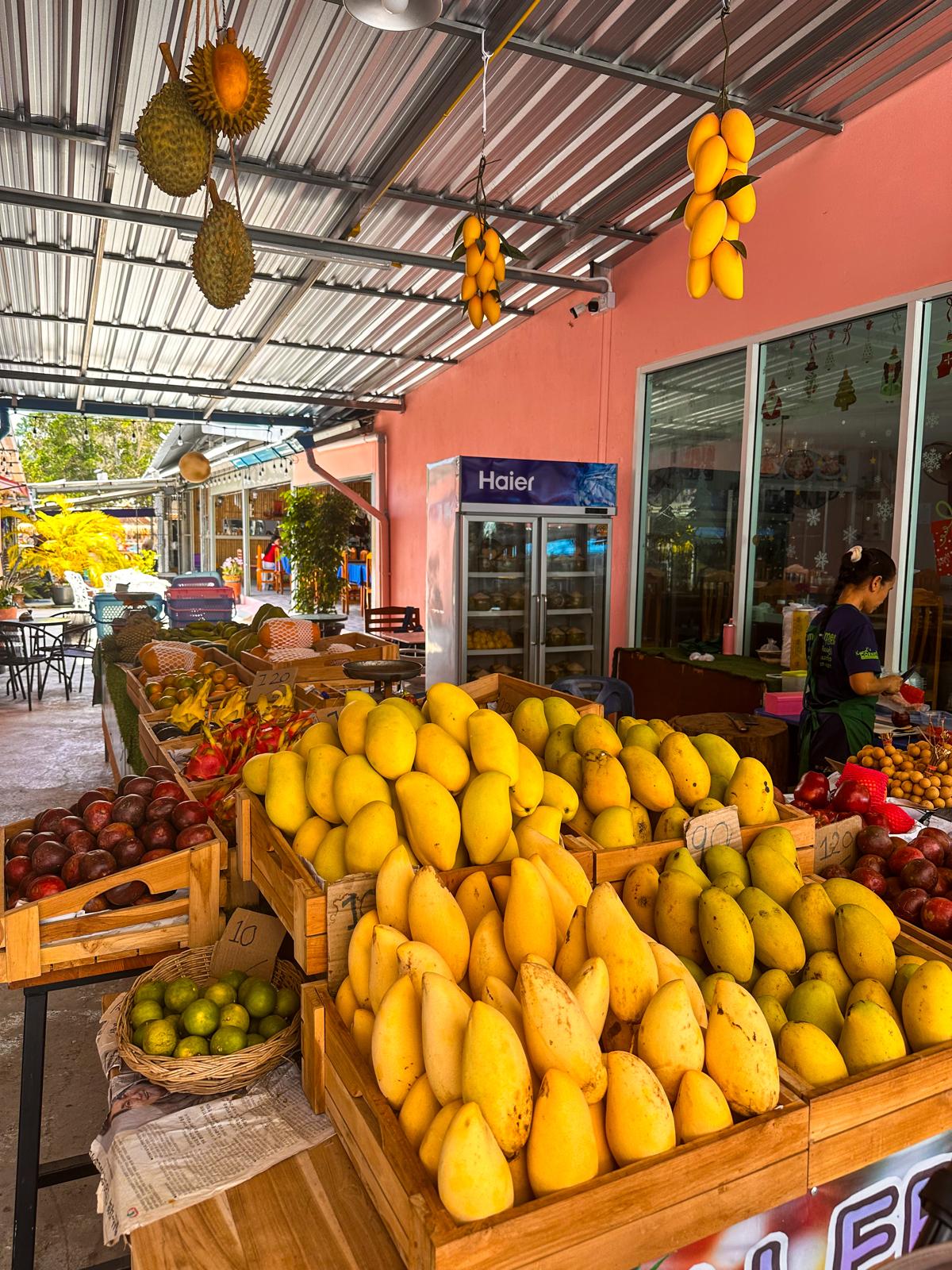 Thailand, Elefanten & ein bisschen Gutgläubigkeit – unser erster Asienurlaub 🫶 foodmarket day