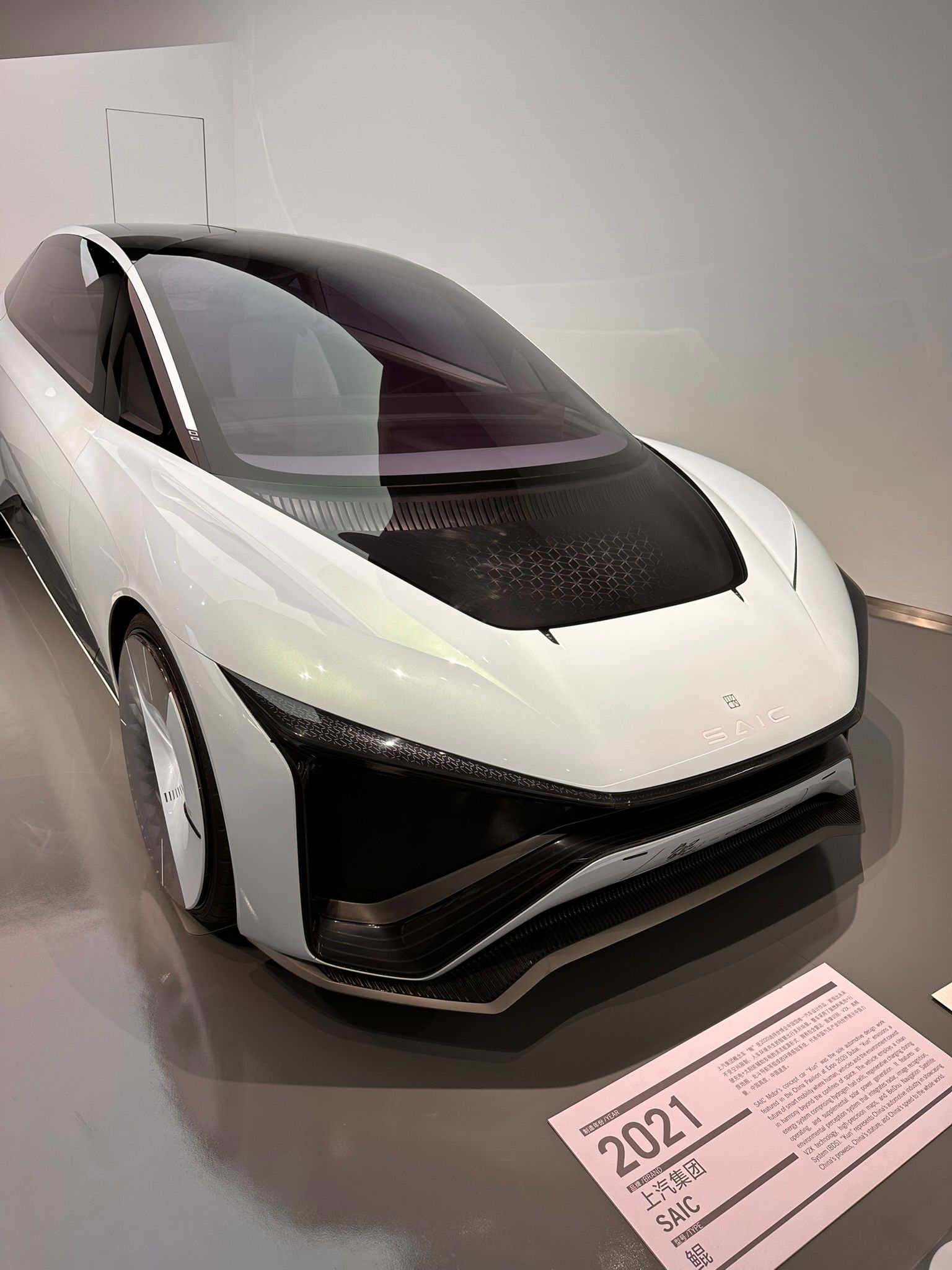 Mai in Shanghai: Zwischen Survival-Modus und Verwöhnprogramm automuseum shanghai9