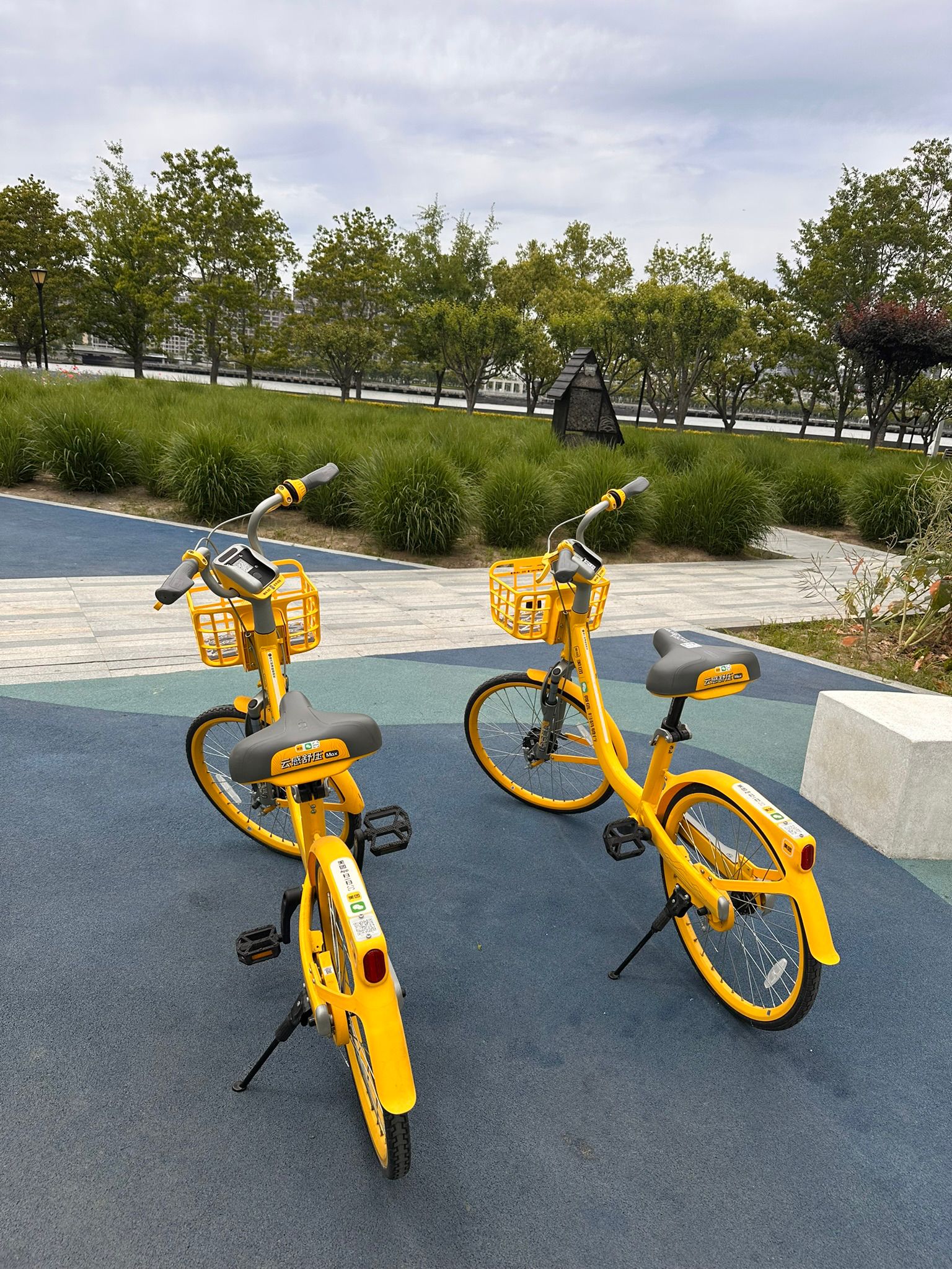 Mai in Shanghai: Zwischen Survival-Modus und Verwöhnprogramm fahrradtour7