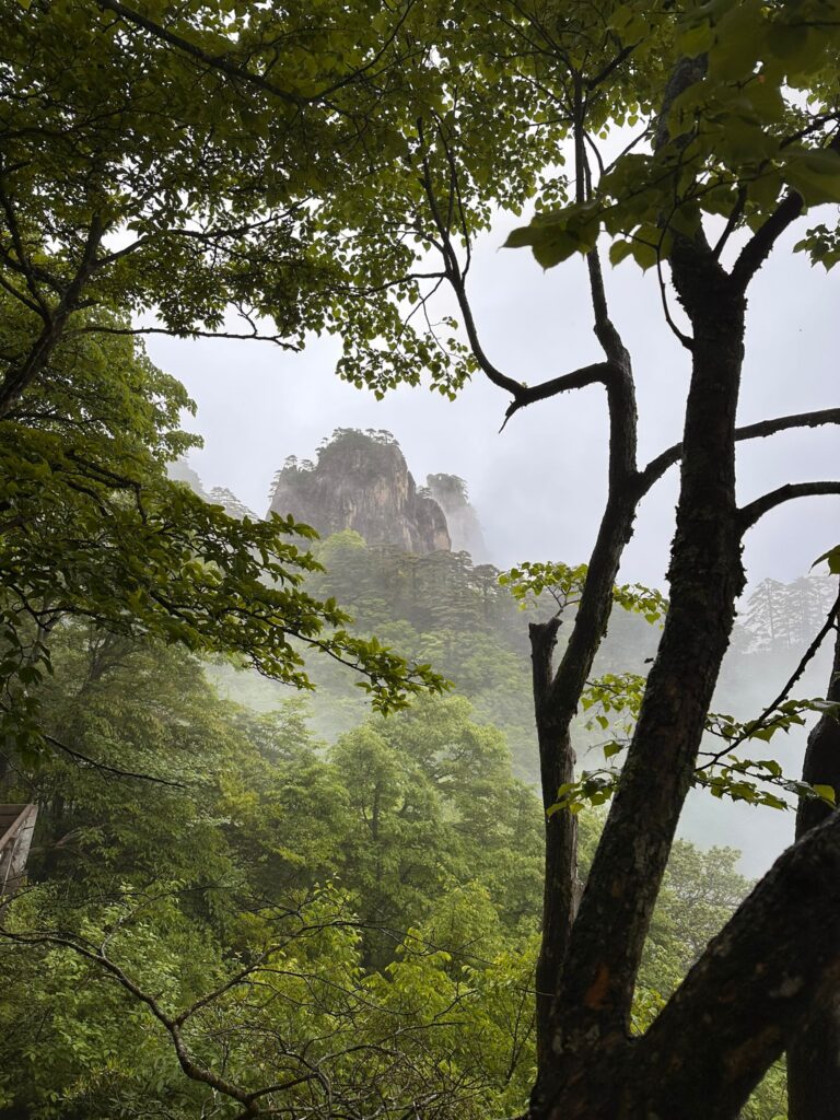 Home wandertour yellow mountains20