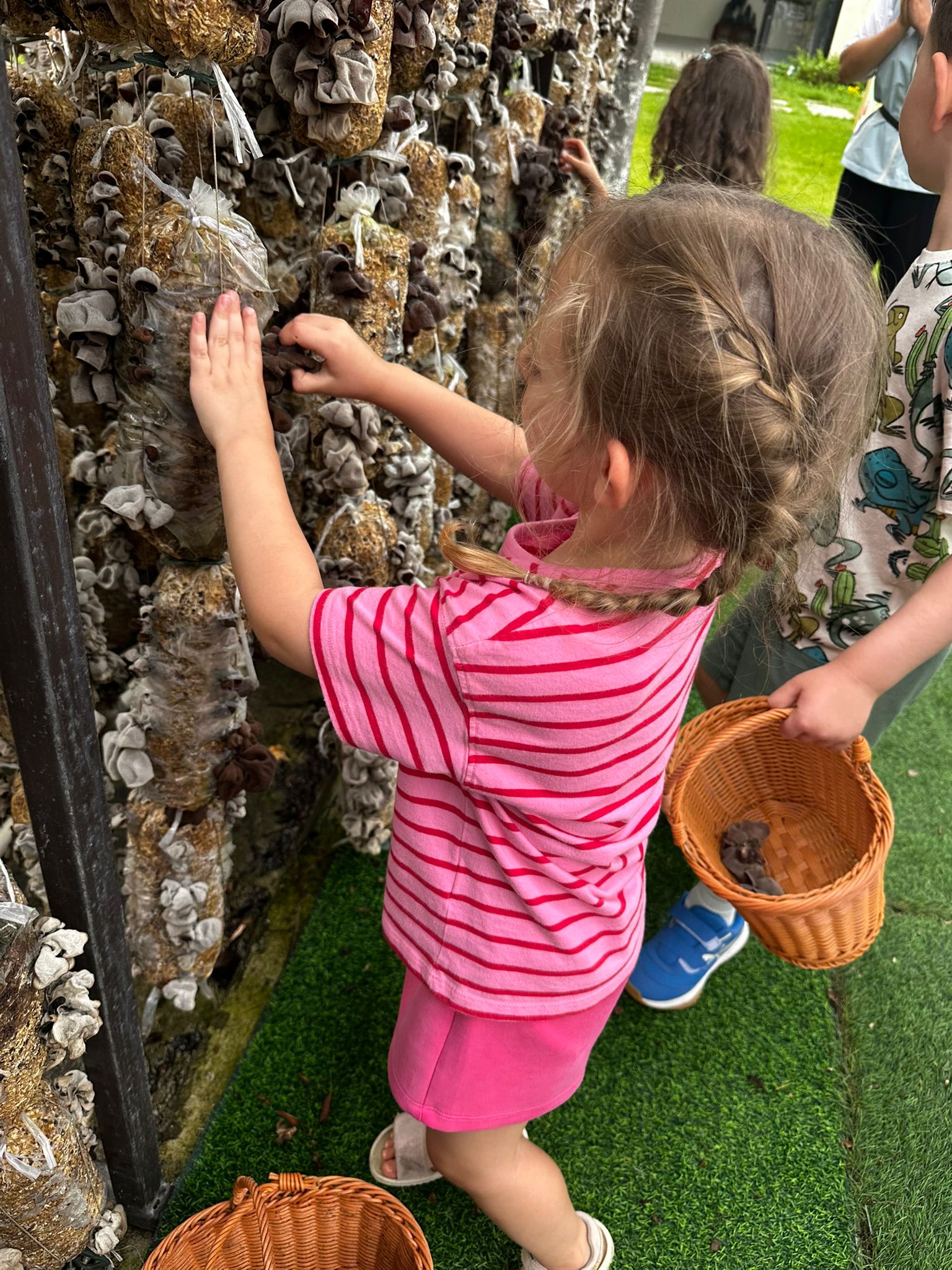 Stoffmarkt statt Fussl, Schwammerl statt Pilze und Dumplings mit Prosecco mushroom park7