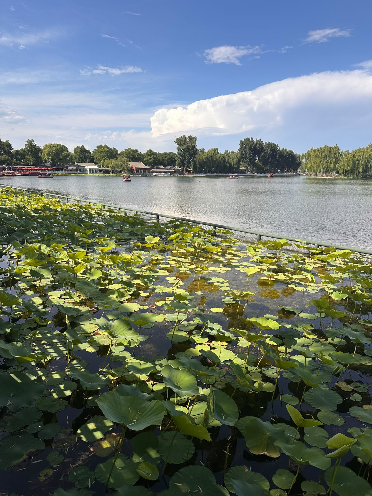 Peking – zwischen Verbotener Stadt, Great Wall und akutem Aperol-Notstand 😂 tith shichahai see5