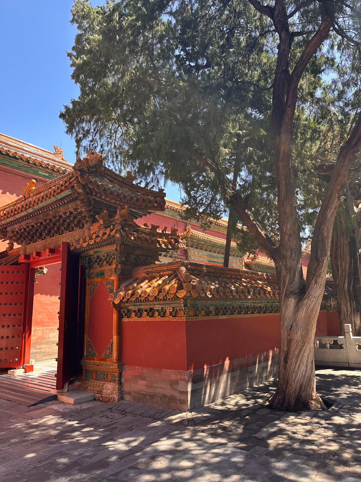 Peking – zwischen Verbotener Stadt, Great Wall und akutem Aperol-Notstand 😂 tith verbotene stadt2