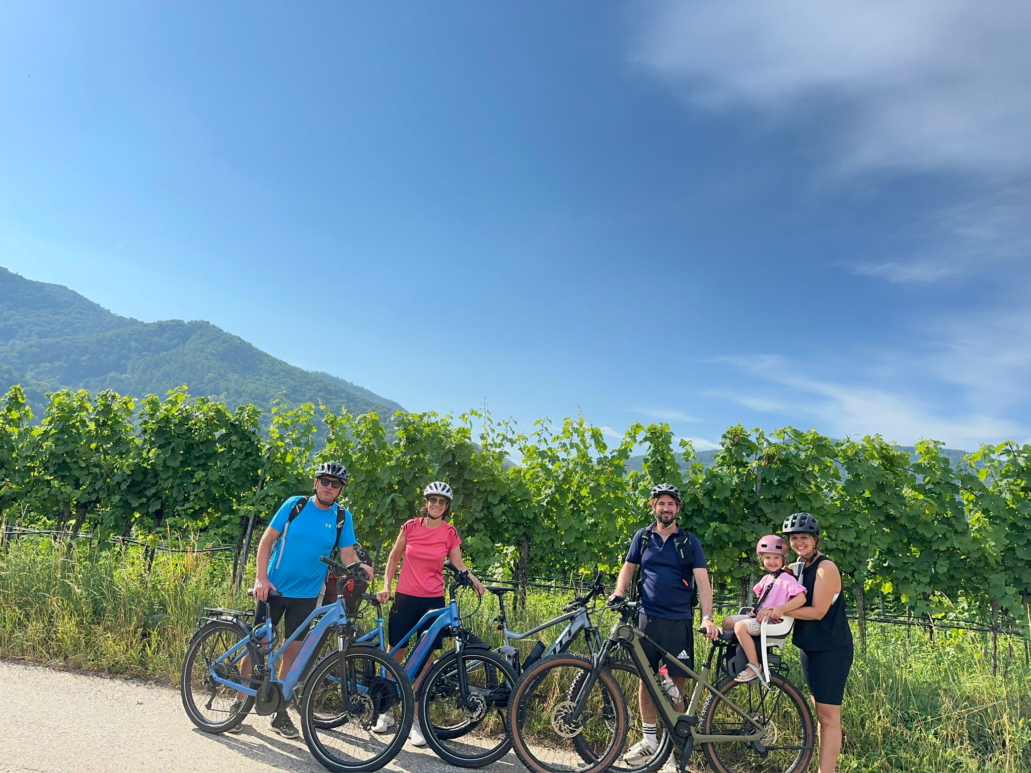 Einmal Heimat und zurück - Sommer in Österreich ☀️🇦🇹 ausflug wachau6
