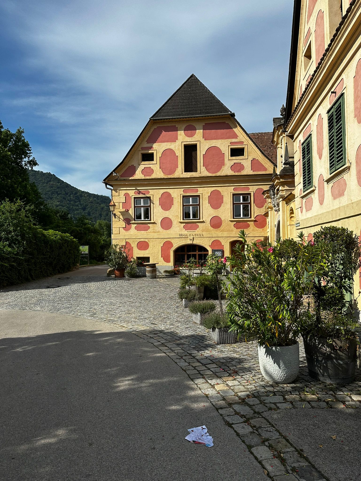 Einmal Heimat und zurück - Sommer in Österreich ☀️🇦🇹 ausflug wachau7