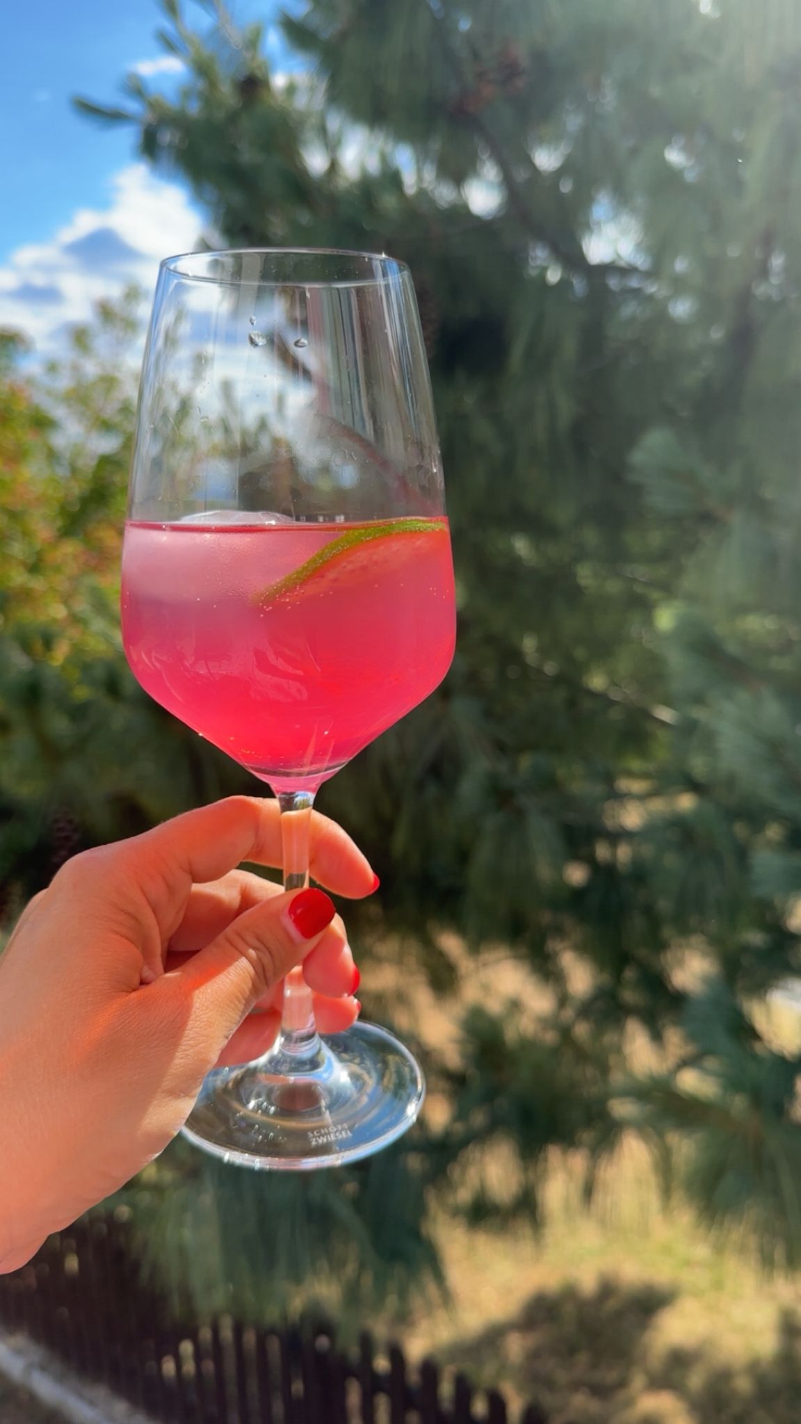 Einmal Heimat und zurück - Sommer in Österreich ☀️🇦🇹 heimaturlaub sommerdrink
