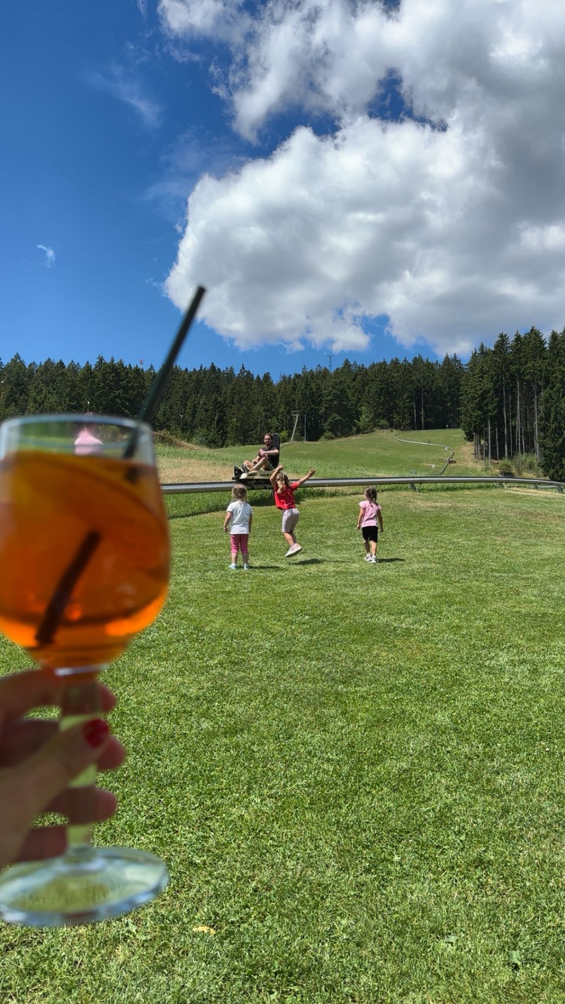 Einmal Heimat und zurück - Sommer in Österreich ☀️🇦🇹 heimaturlaub sommerrodeln2