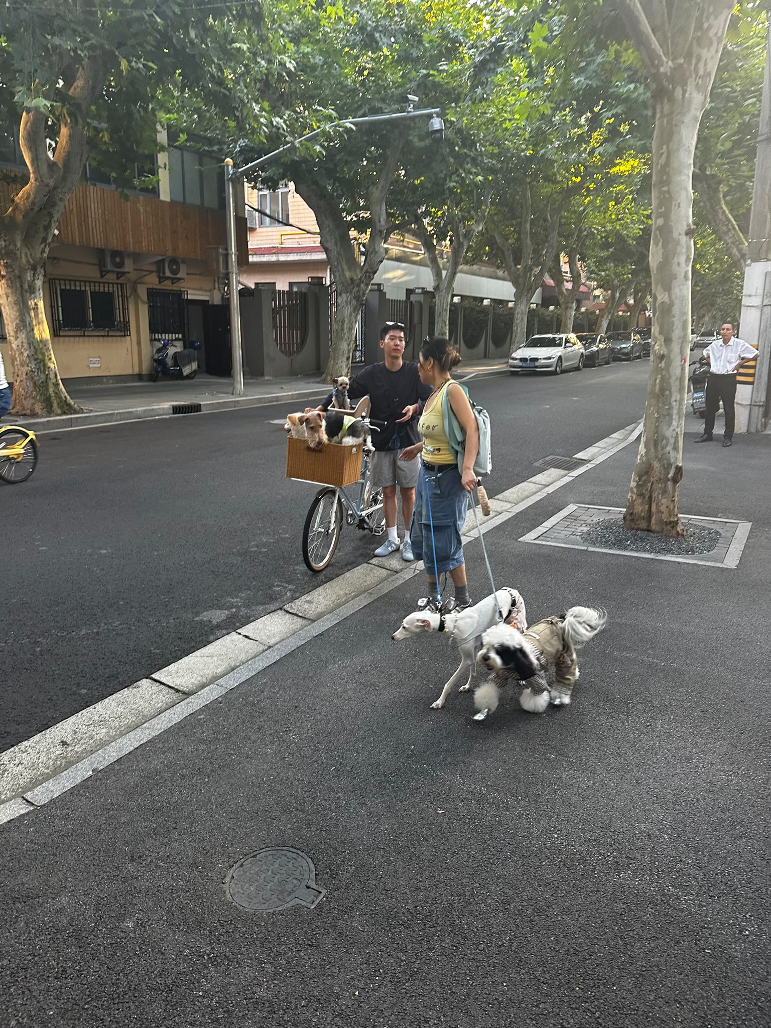 dogwalking1