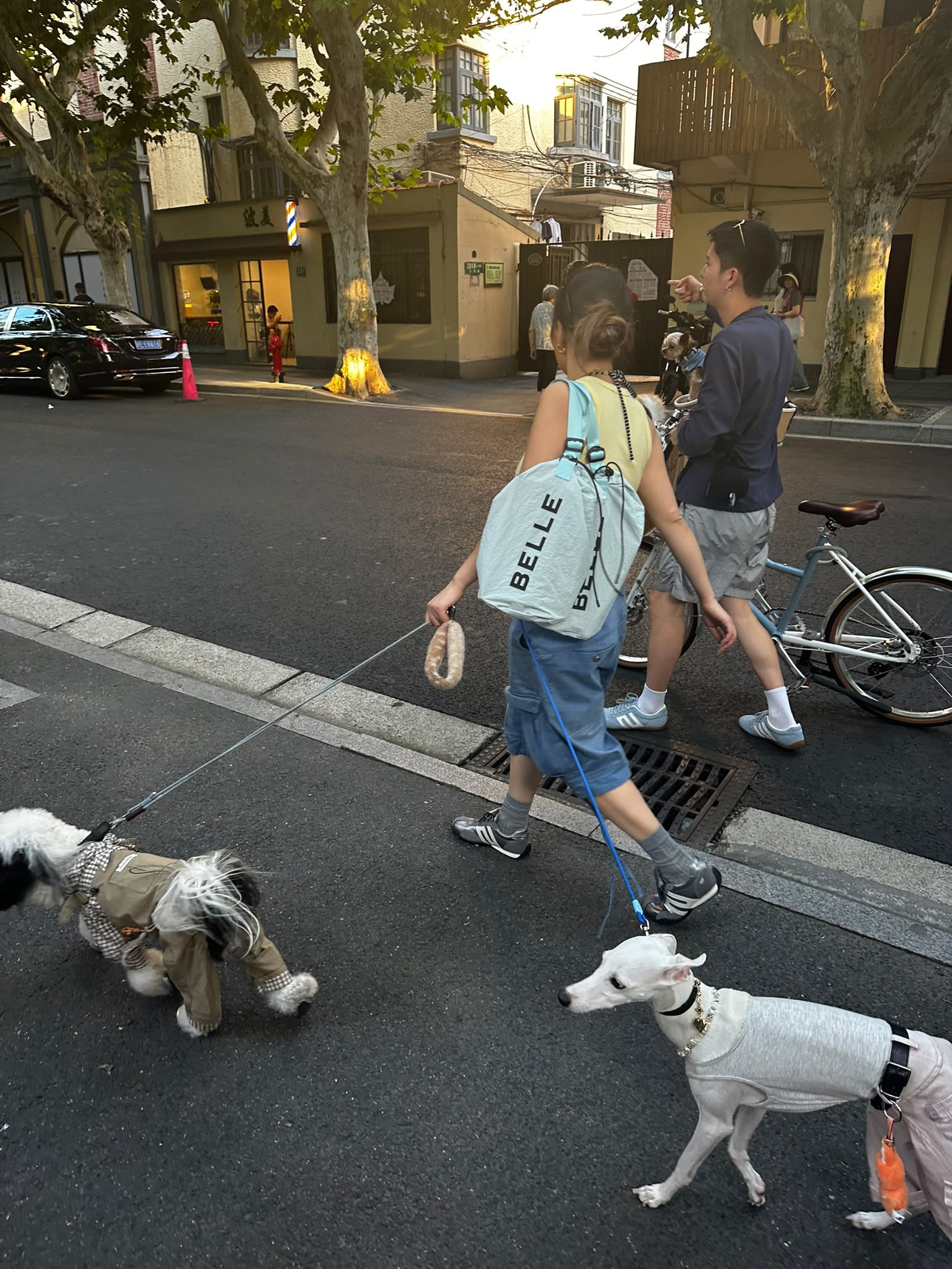 dogwalking2